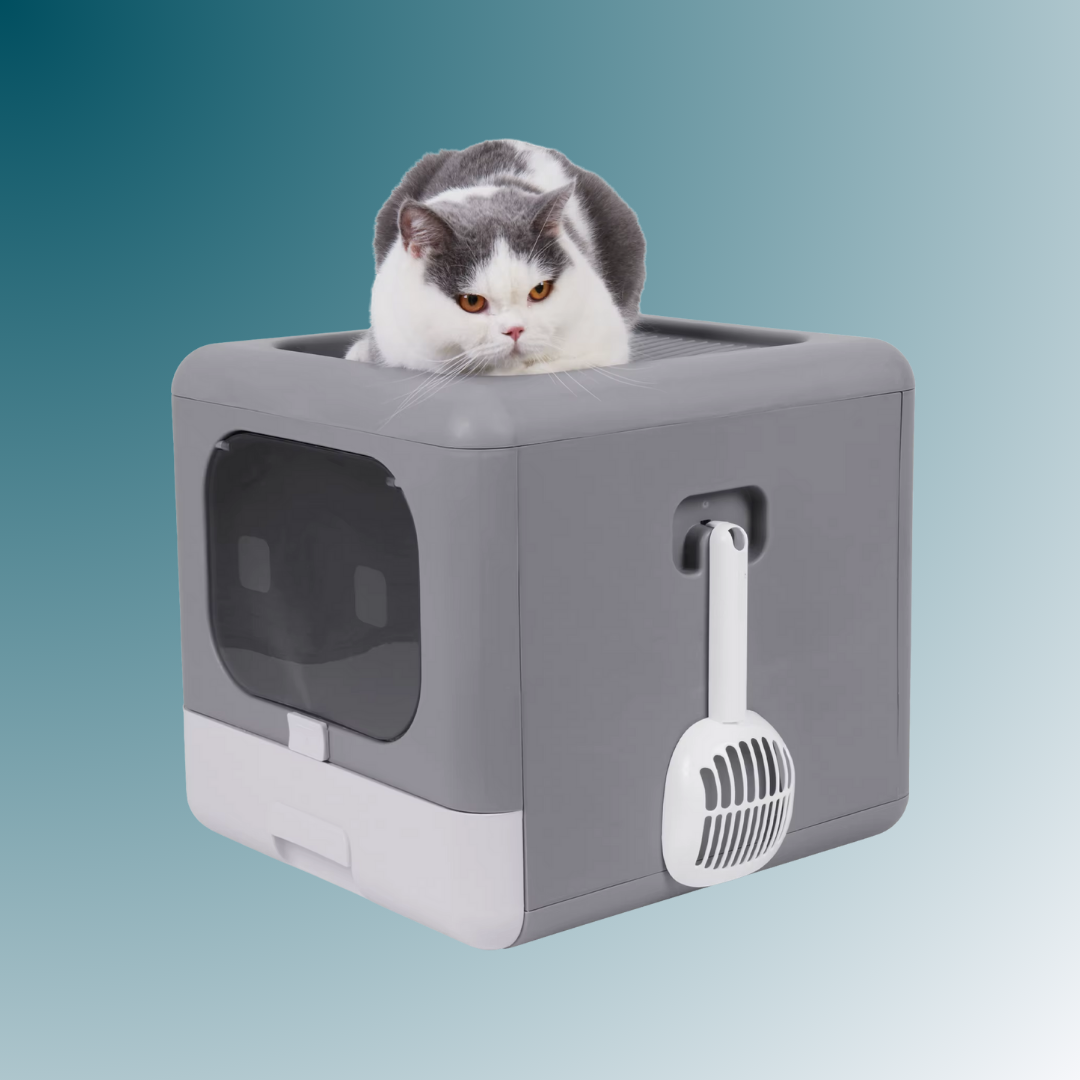 - SmartPfote - CleanBox Fold – Smart Cat Litter System