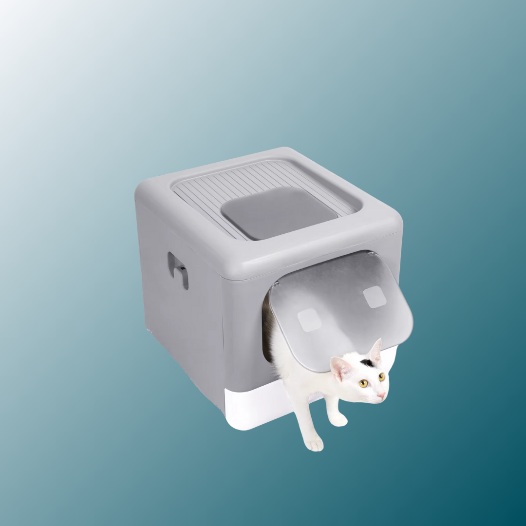 - SmartPfote - CleanBox Fold – Smart Cat Litter System