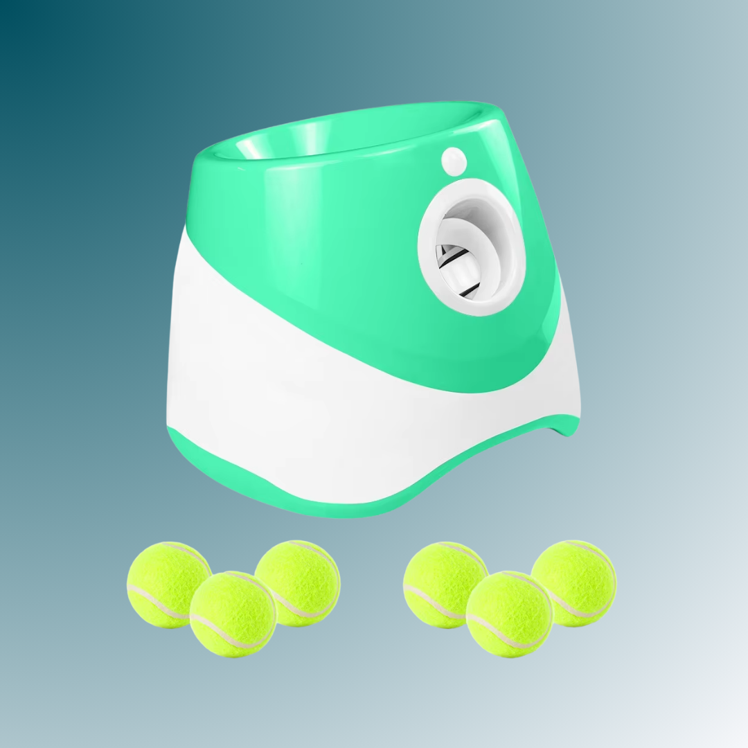 - SmartPfote - FetchLaunch – Automatic Dog Ball Launcher