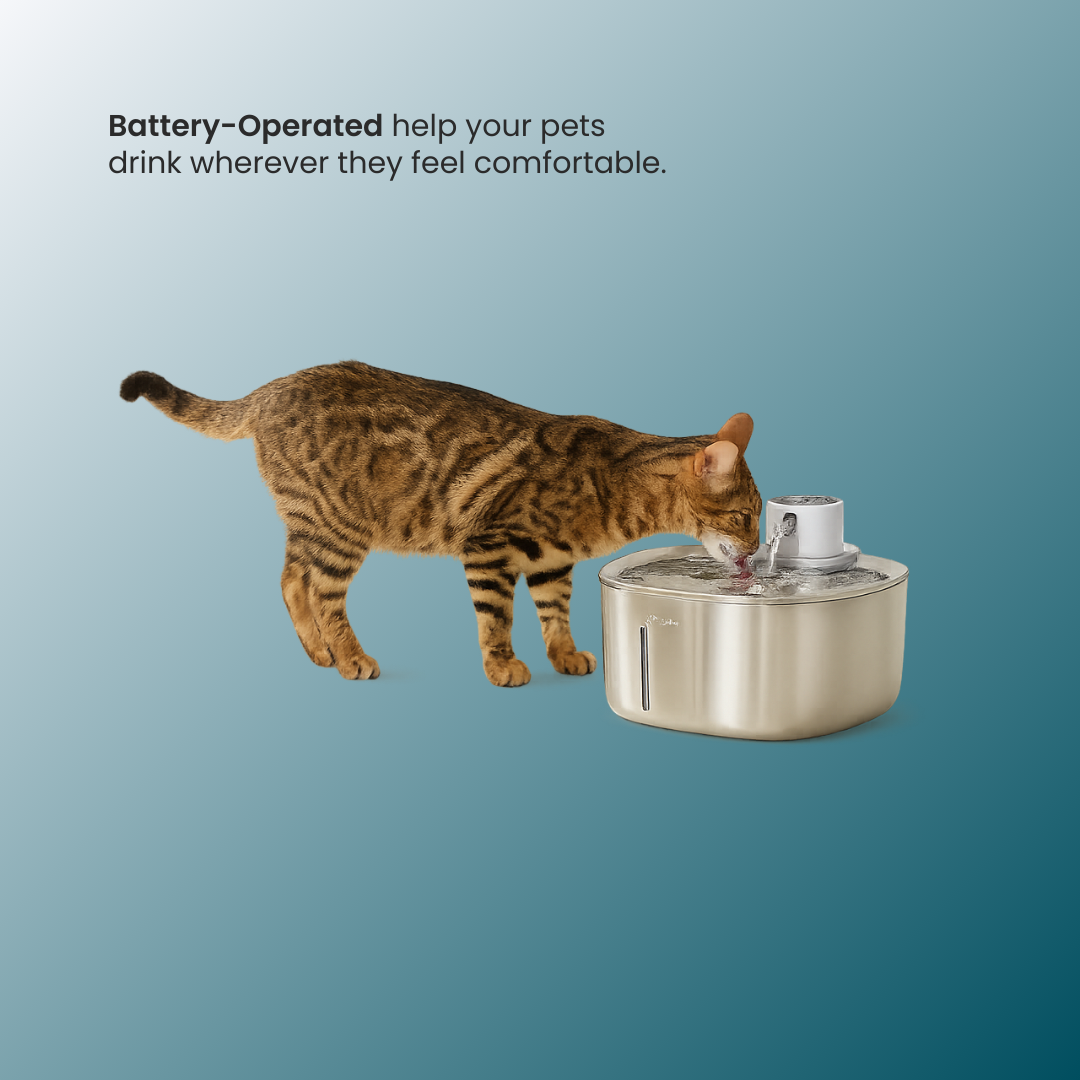 - SmartPfote - FlowPure 4L – Wireless Cat Water Fountain with Motion Sensor