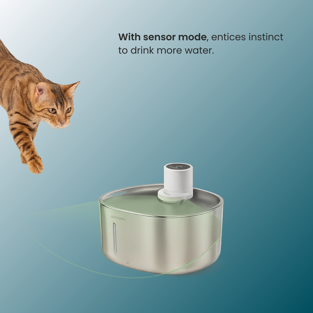 - SmartPfote - FlowPure 4L – Wireless Cat Water Fountain with Motion Sensor