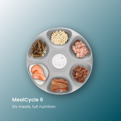 - SmartPfote - MealCycle 6 – Automatic Pet Feeder for Wet & Dry Food