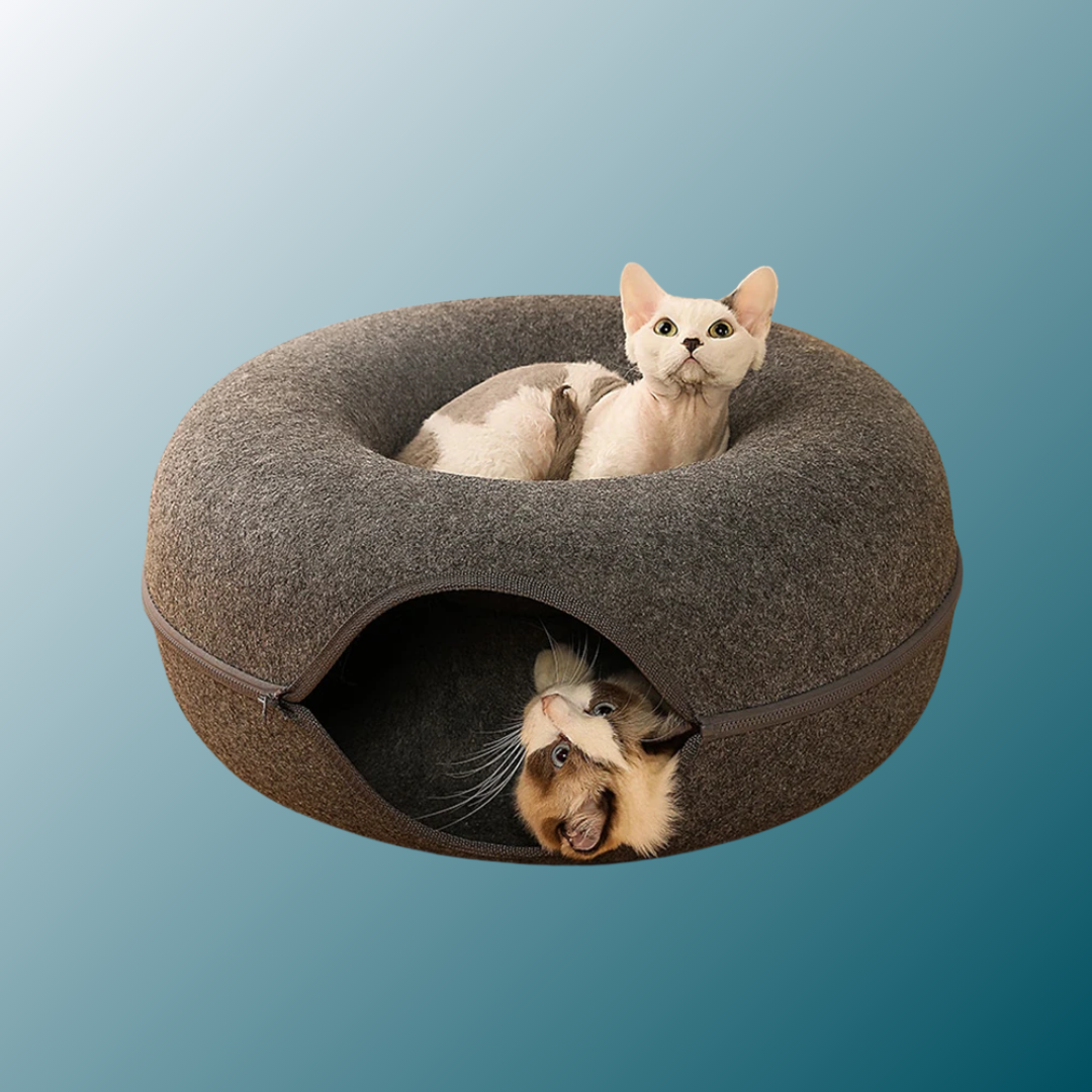 - SmartPfote - NestLoop – 2-in-1 Donut Cat Tunnel Bed (Felt Design)