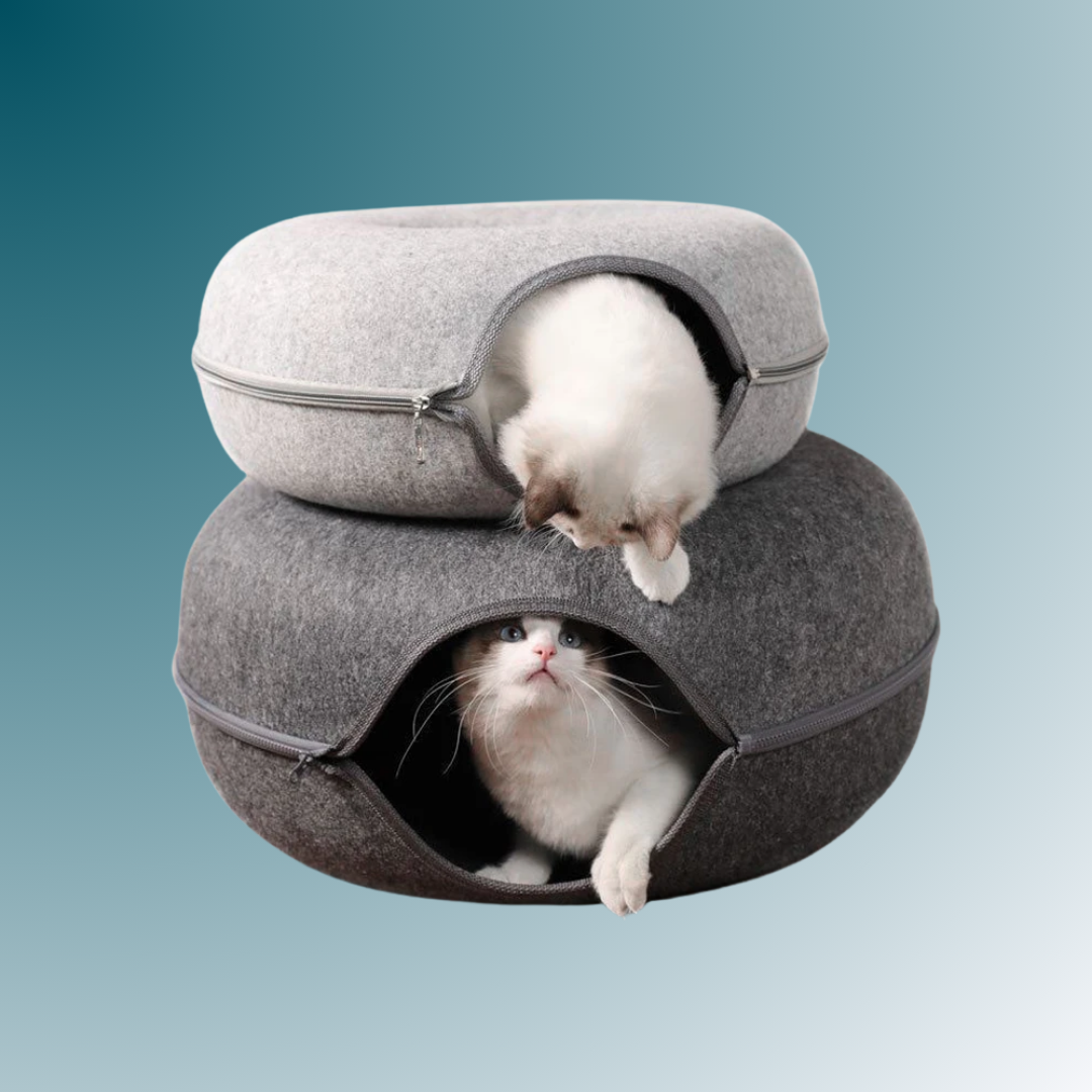 - SmartPfote - NestLoop – 2-in-1 Donut Cat Tunnel Bed (Felt Design)