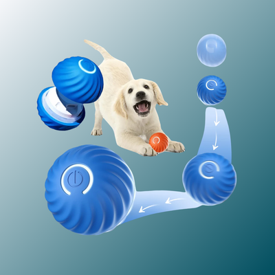 - SmartPfote - PupTurbo – Smart Bouncing Ball Toy for Puppies & Midsized Dogs