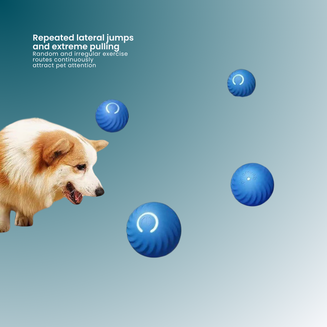 - SmartPfote - PupTurbo – Smart Bouncing Ball Toy for Puppies & Midsized Dogs