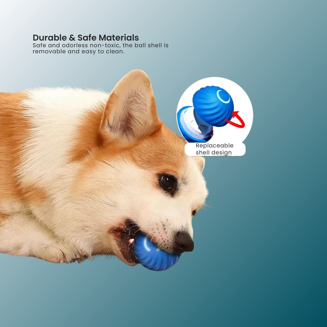 - SmartPfote - PupTurbo – Smart Bouncing Ball Toy for Puppies & Midsized Dogs
