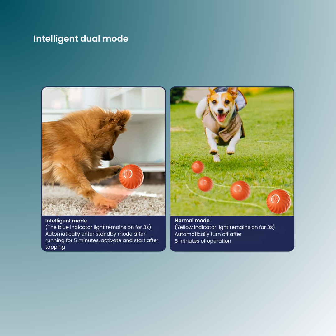 - SmartPfote - PupTurbo – Smart Bouncing Ball Toy for Puppies & Midsized Dogs