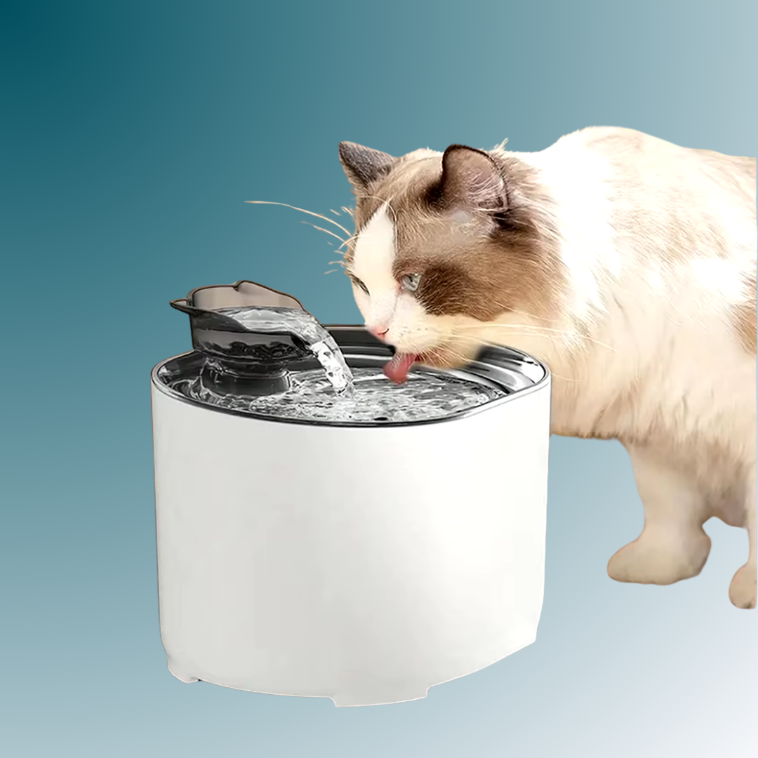 - SmartPfote - QuietSip – Cat Water Fountain with USB Filter & Silent Flow