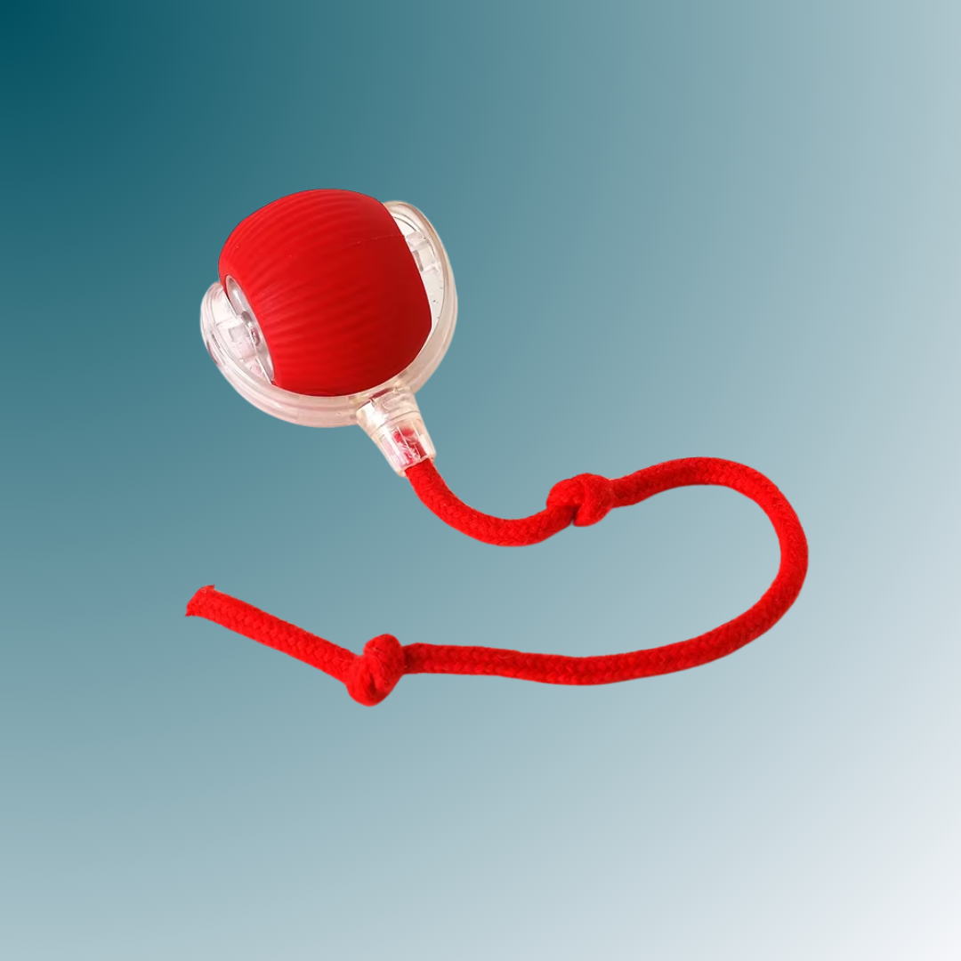 - SmartPfote - WiggleWhisk – Rechargeable Rolling Tail Toy for Cats & Dogs