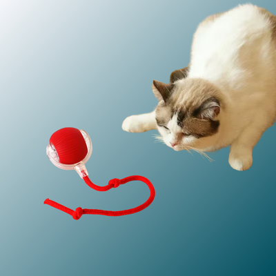 - SmartPfote - WiggleWhisk – Rechargeable Rolling Tail Toy for Cats & Dogs