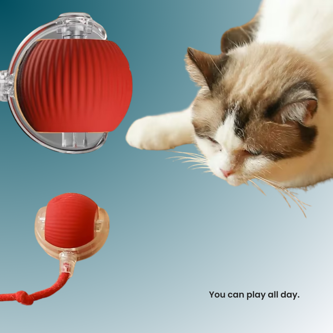 - SmartPfote - WiggleWhisk – Rechargeable Rolling Tail Toy for Cats & Dogs