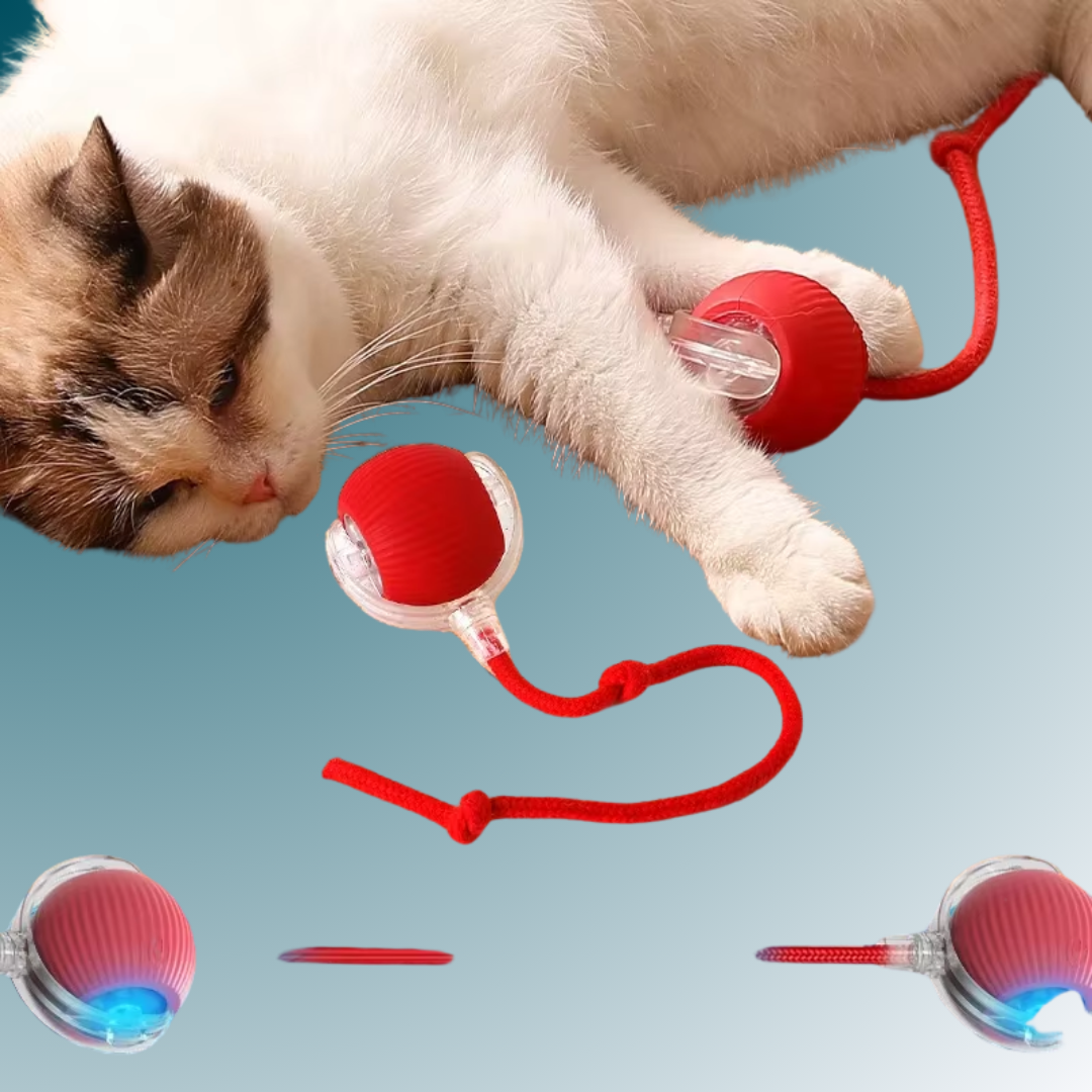 - SmartPfote - WiggleWhisk – Rechargeable Rolling Tail Toy for Cats & Dogs