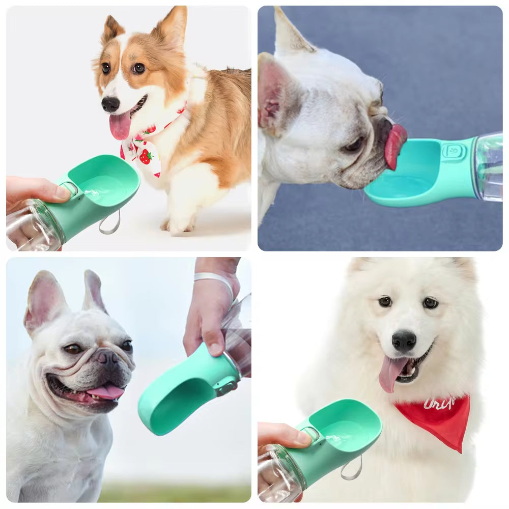 - SmartPfote - SipMate – Travel Water Bottle for Dogs & Cats