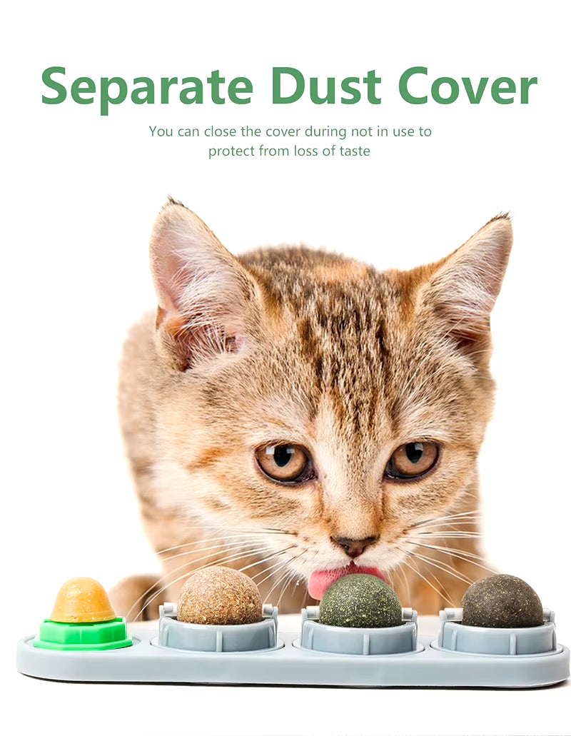 - SmartPfote - SilverBites – Natural Catnip Dental Energy Balls