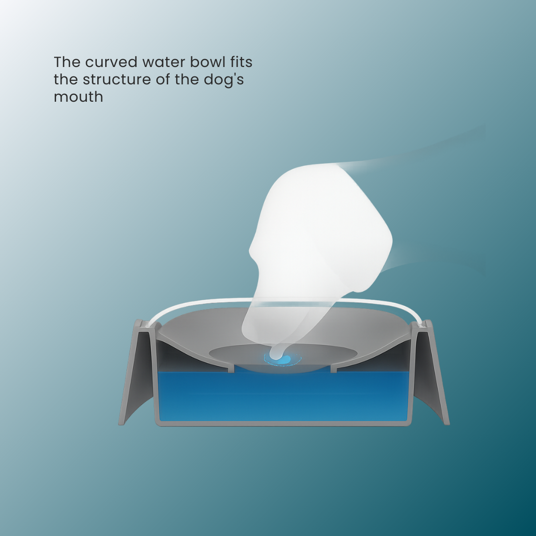- SmartPfote - DripGuard – Anti-Spill Floating Water Bowl for Dogs & Cats