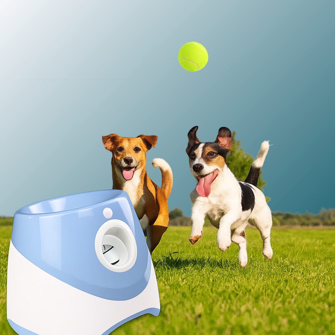 - SmartPfote - FetchLaunch – Automatic Dog Ball Launcher