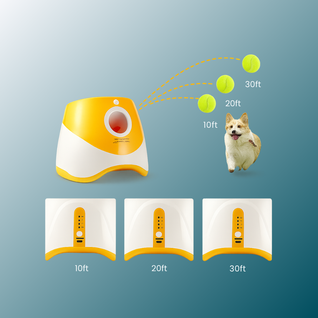 - SmartPfote - FetchLaunch – Automatic Dog Ball Launcher