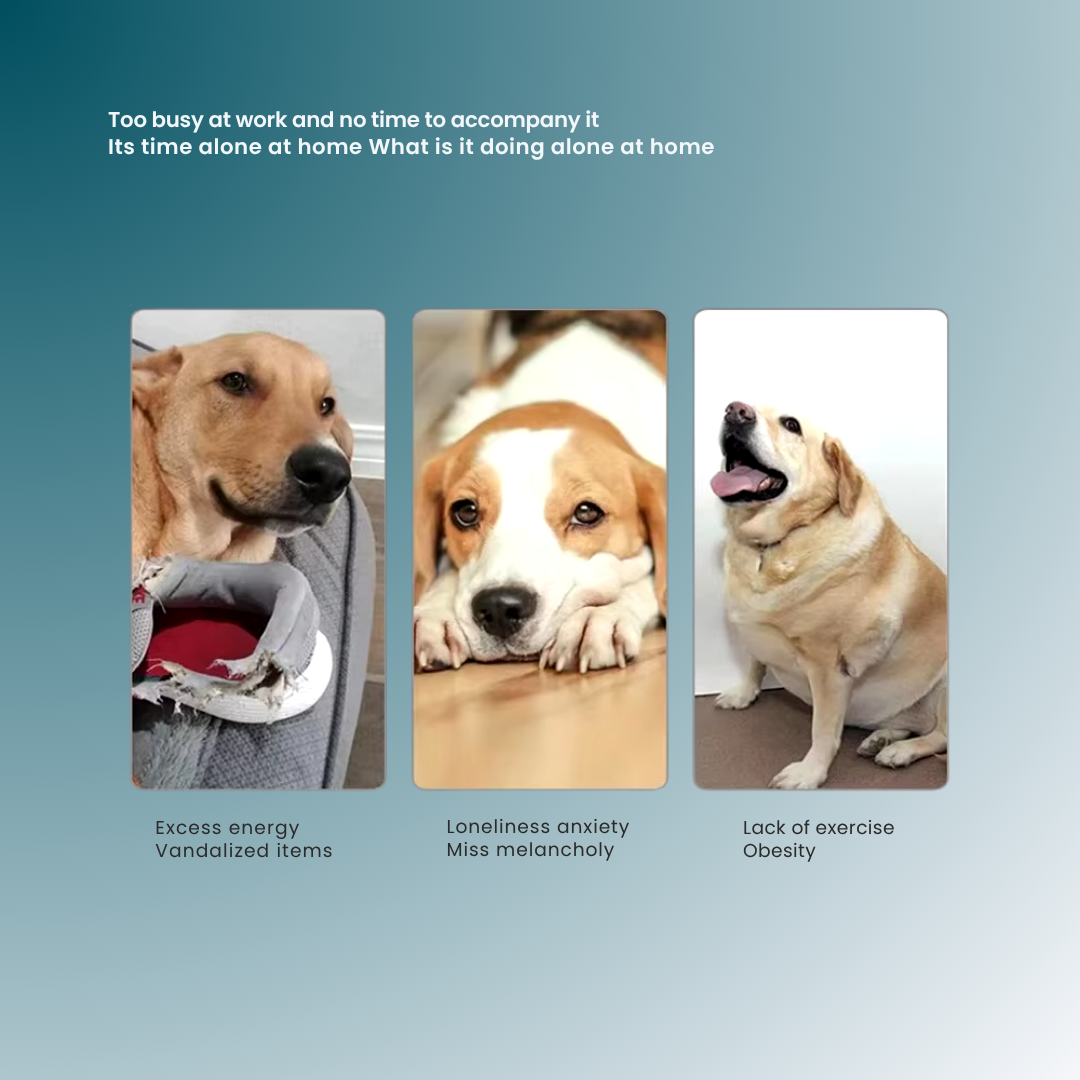 - SmartPfote - FetchLaunch – Automatic Dog Ball Launcher