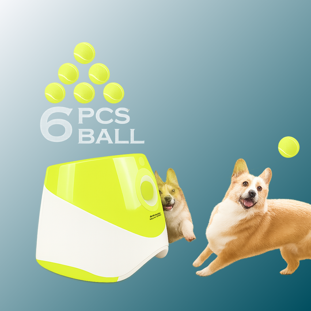 - SmartPfote - FetchLaunch – Automatic Dog Ball Launcher