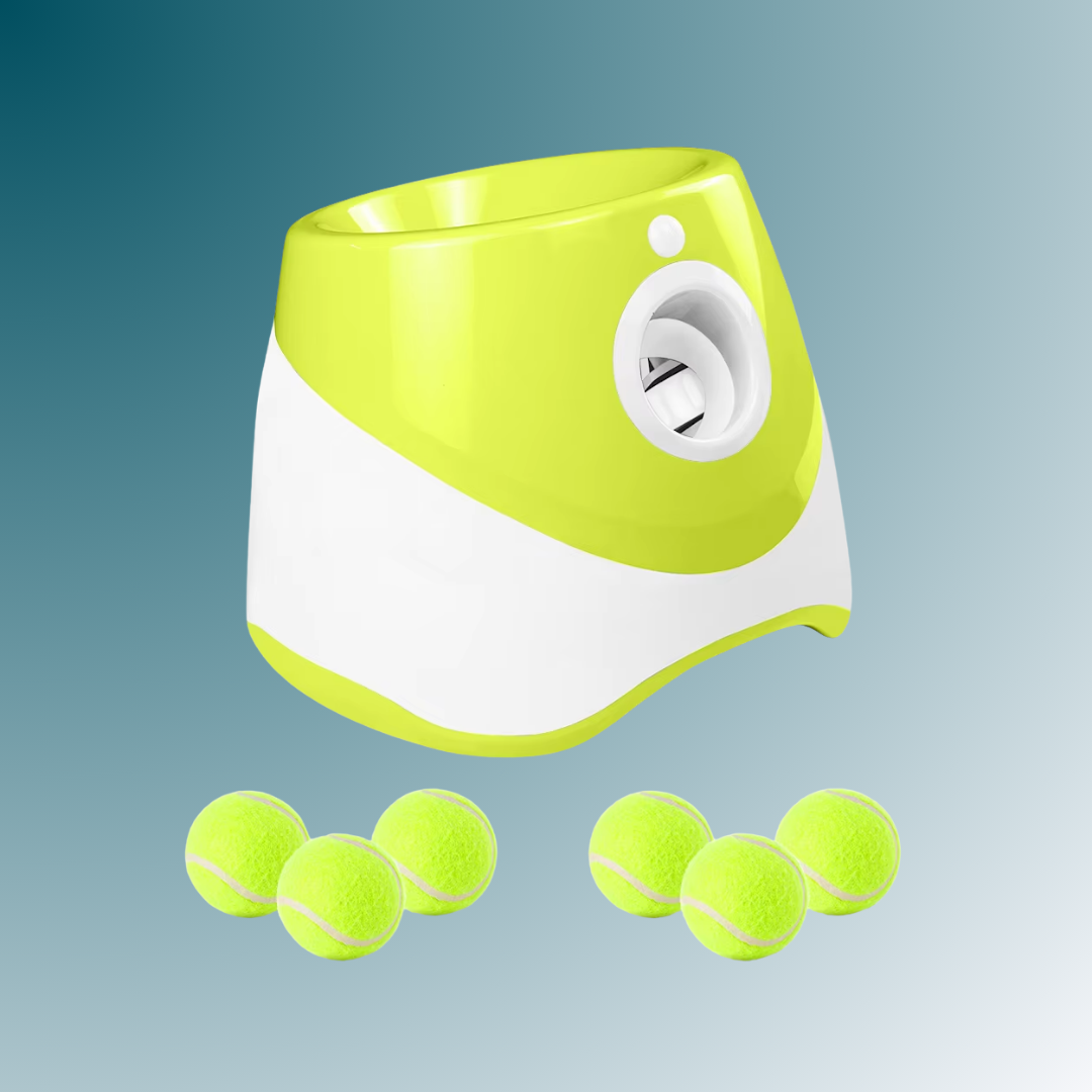- SmartPfote - FetchLaunch – Automatic Dog Ball Launcher