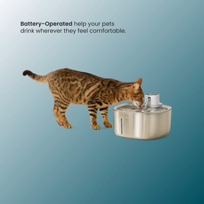- SmartPfote - FlowPure 4L – Wireless Cat Water Fountain with Motion Sensor
