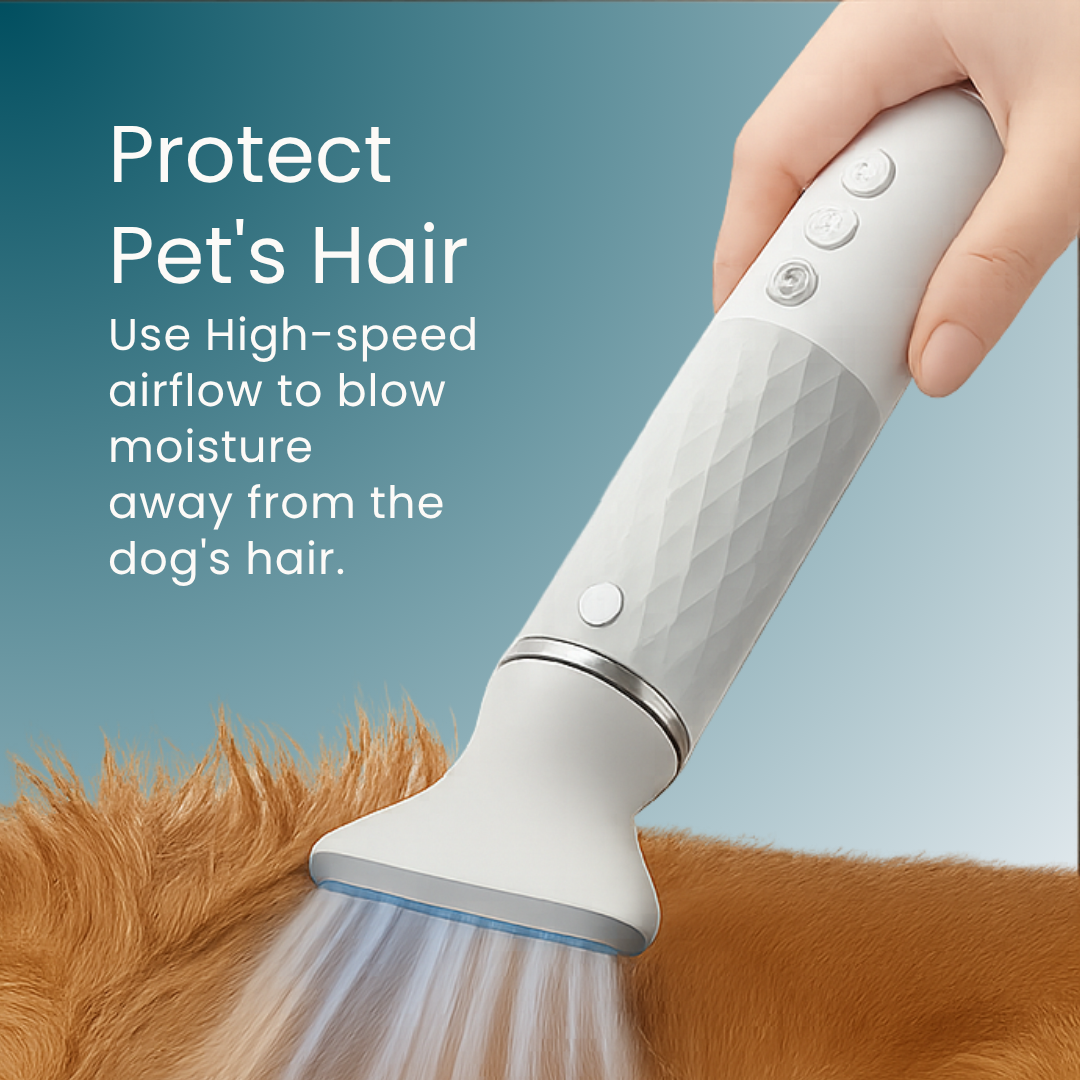 - SmartPfote - GroomFlow 2-in-1 – Quiet Pet Hair Dryer & Comb with Steam Spray