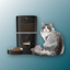 4L Automatische Katzenfutterer Smart Pet Feeder für Katzen kleine Hunde Lebensmittelspender mit Kamera -Rekorder Timing Quantitative Doppelschale