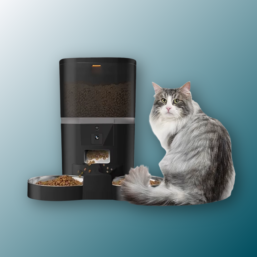4L Automatische Katzenfutterer Smart Pet Feeder für Katzen kleine Hunde Lebensmittelspender mit Kamera -Rekorder Timing Quantitative Doppelschale