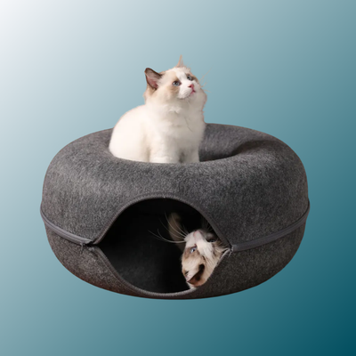 - SmartPfote - NestLoop – 2-in-1 Donut Cat Tunnel Bed (Felt Design)
