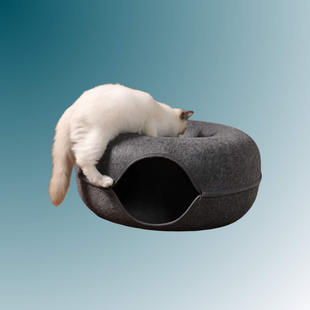 - SmartPfote - NestLoop – 2-in-1 Donut Cat Tunnel Bed (Felt Design)