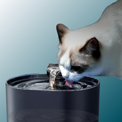 - SmartPfote - QuietSip – Cat Water Fountain with USB Filter & Silent Flow