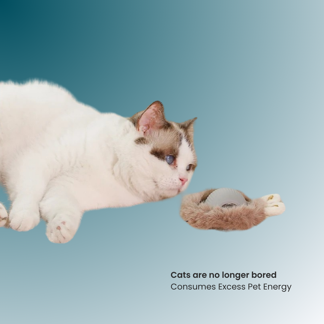 - SmartPfote - WiggleWhisk Plushie – Rechargeable Cat Ball with Fluffy Tail