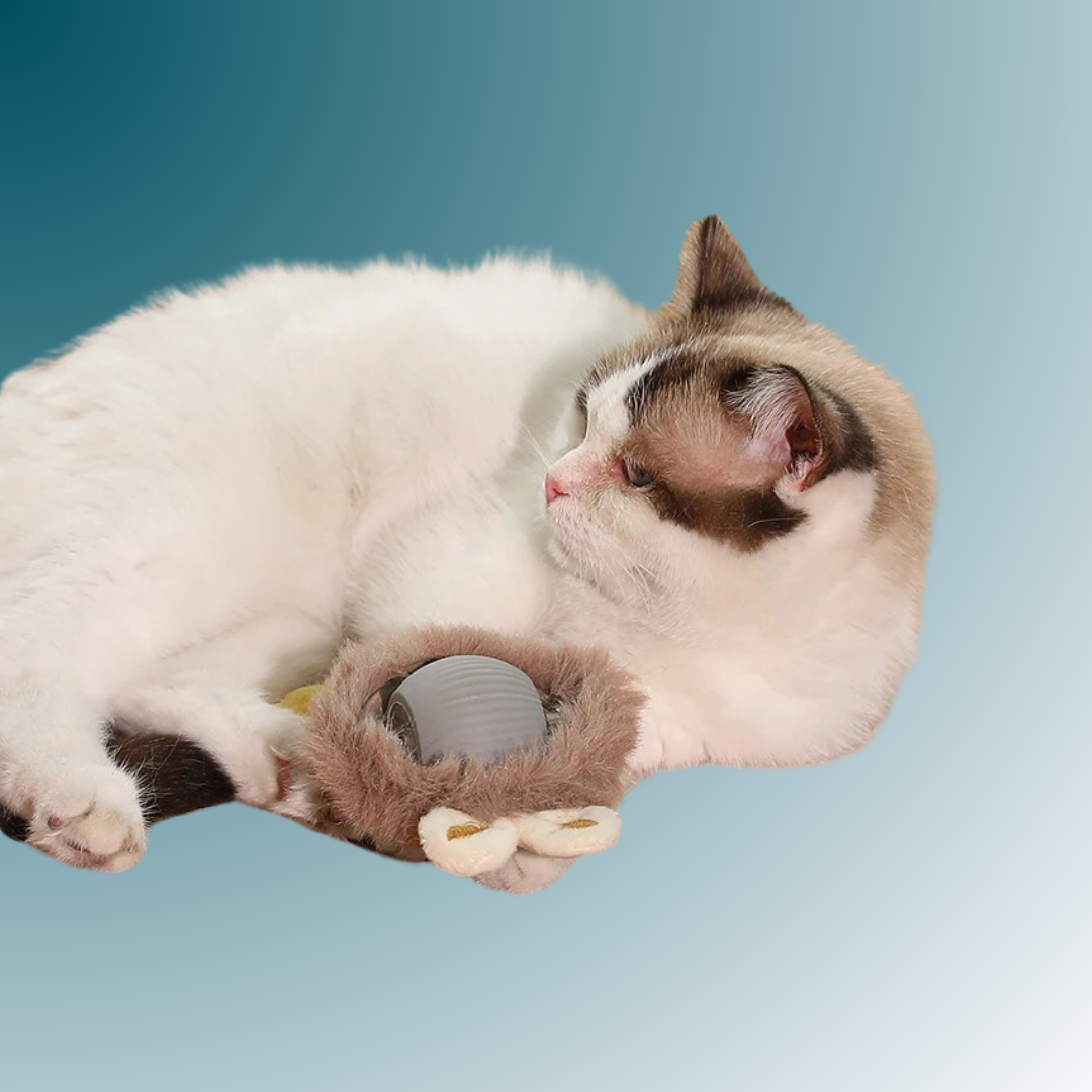 - SmartPfote - WiggleWhisk Plushie – Rechargeable Cat Ball with Fluffy Tail