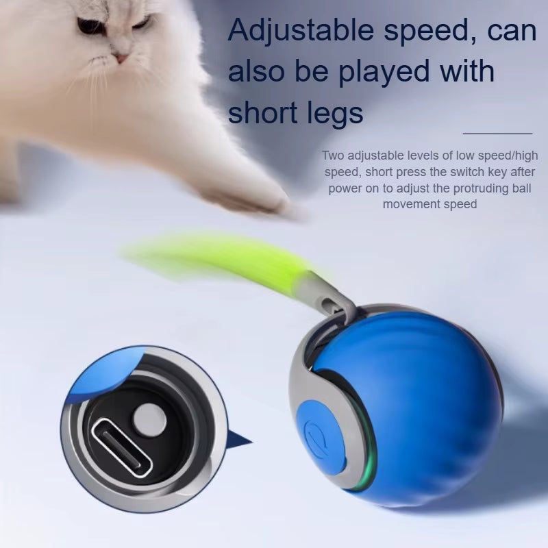 - SmartPfote - WiggleTail – Rechargeable Moving Teaser Ball
