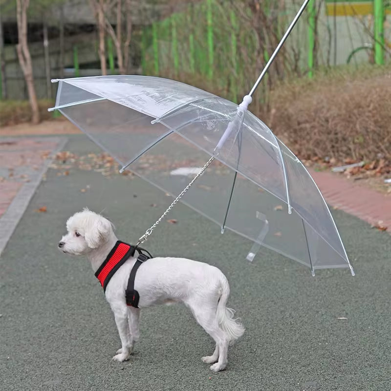 - SmartPfote - RainPaw Shield – Adjustable Pet Umbrella Leash