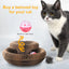 - SmartPfote - FlexiScratch – Collapsible Corrugated Cat Scratcher Toy